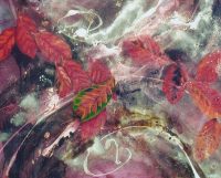 Back to Nature – Brunswick Heads