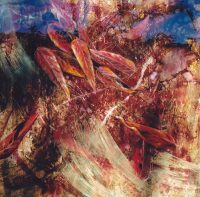 Grandeur Naturale-1 Byron Bay