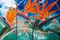 Passionfruit about Paradise