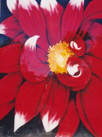 Summer Red Byron Bay